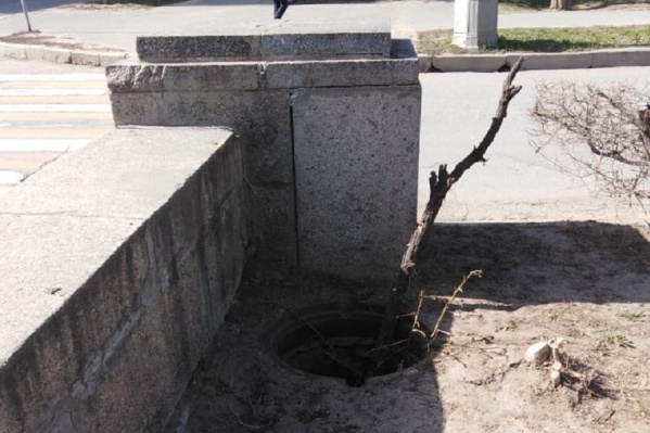 Волгоградец отметил опасность веткой Волгоградец отметил опасность веткой