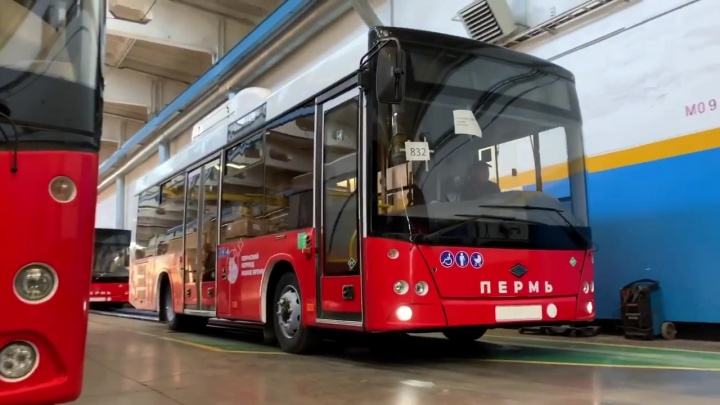 Минтранс ищет перевозчика на автобусные маршруты из Перми в Краснокамск