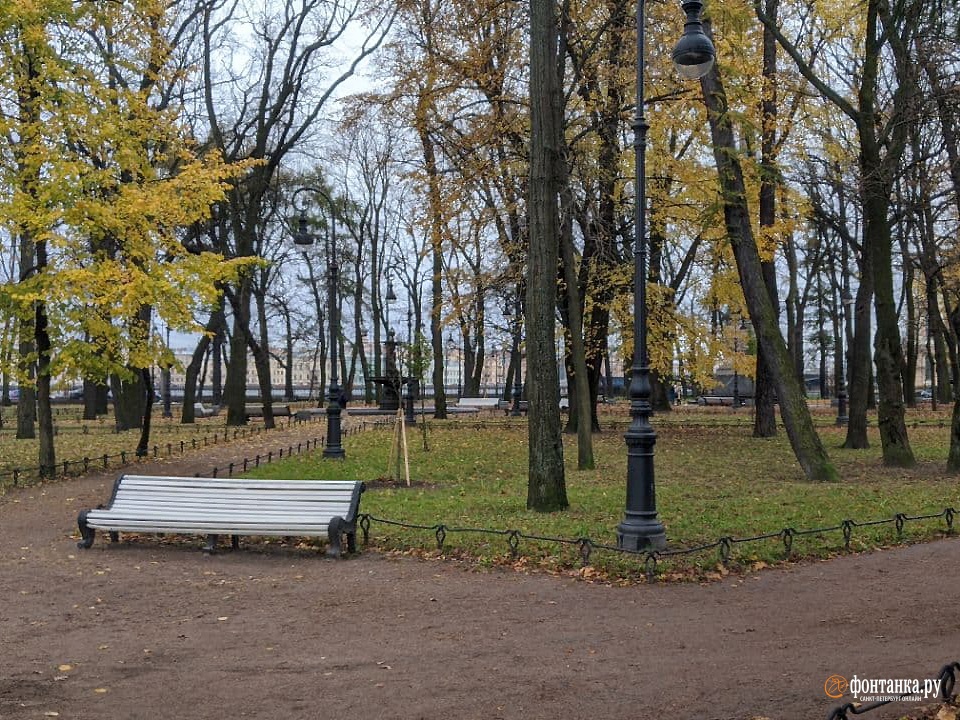 автор фото Павел Каравашкин / «Фонтанка.ру»
