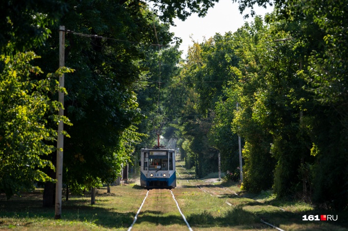 Местная романтика