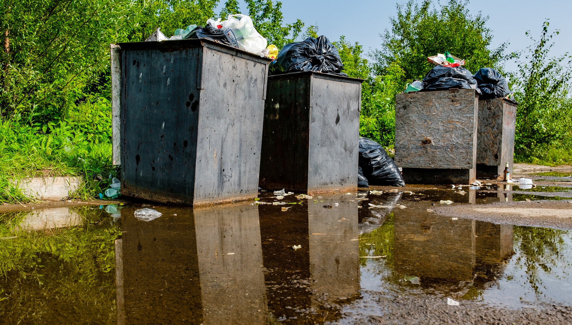 В Перми пройдет прямая линия по вывозу мусора и содержанию контейнерных площадок
