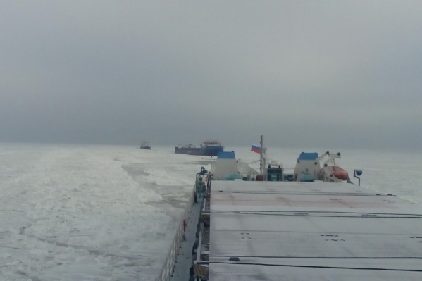 Морозы успели сковать Цимлянское водохранилище слоем льда Морозы успели сковать Цимлянское водохранилище слоем льда