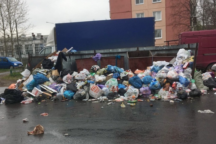Северодвинцы жалуются на невывоз мусора Северодвинцы жалуются на невывоз мусора