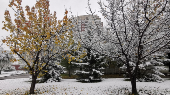 Всю рабочую неделю красноярцев ждет снег с дождем