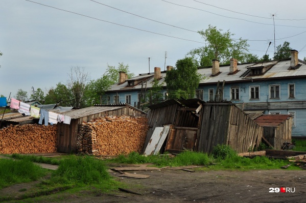Волк гулял по улицам поселка, говорят жители Волк гулял по улицам поселка, говорят жители