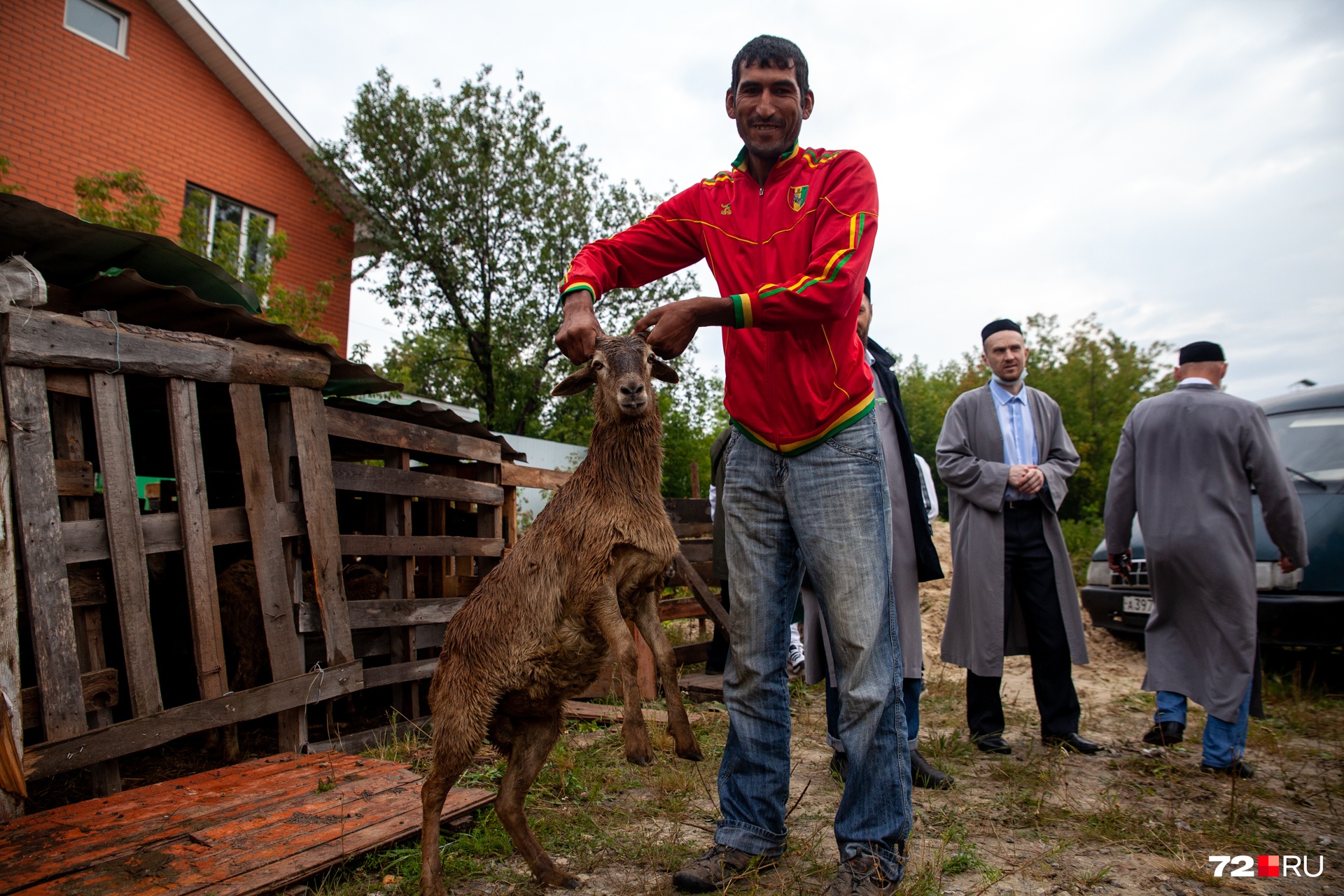 В России чаще всего в жертву приносят молодых барашков