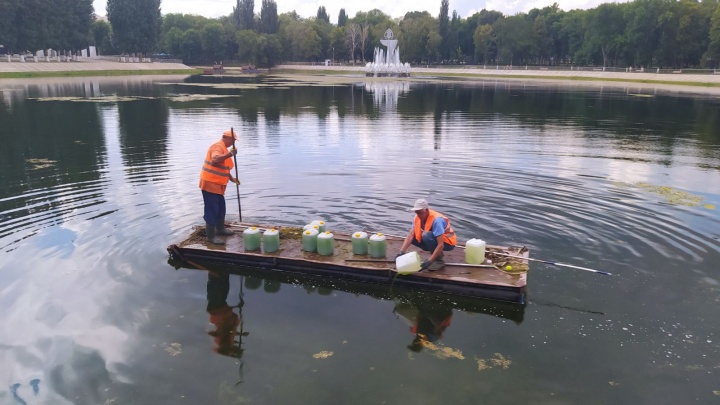 В Самаре озера начали чистить водорослями