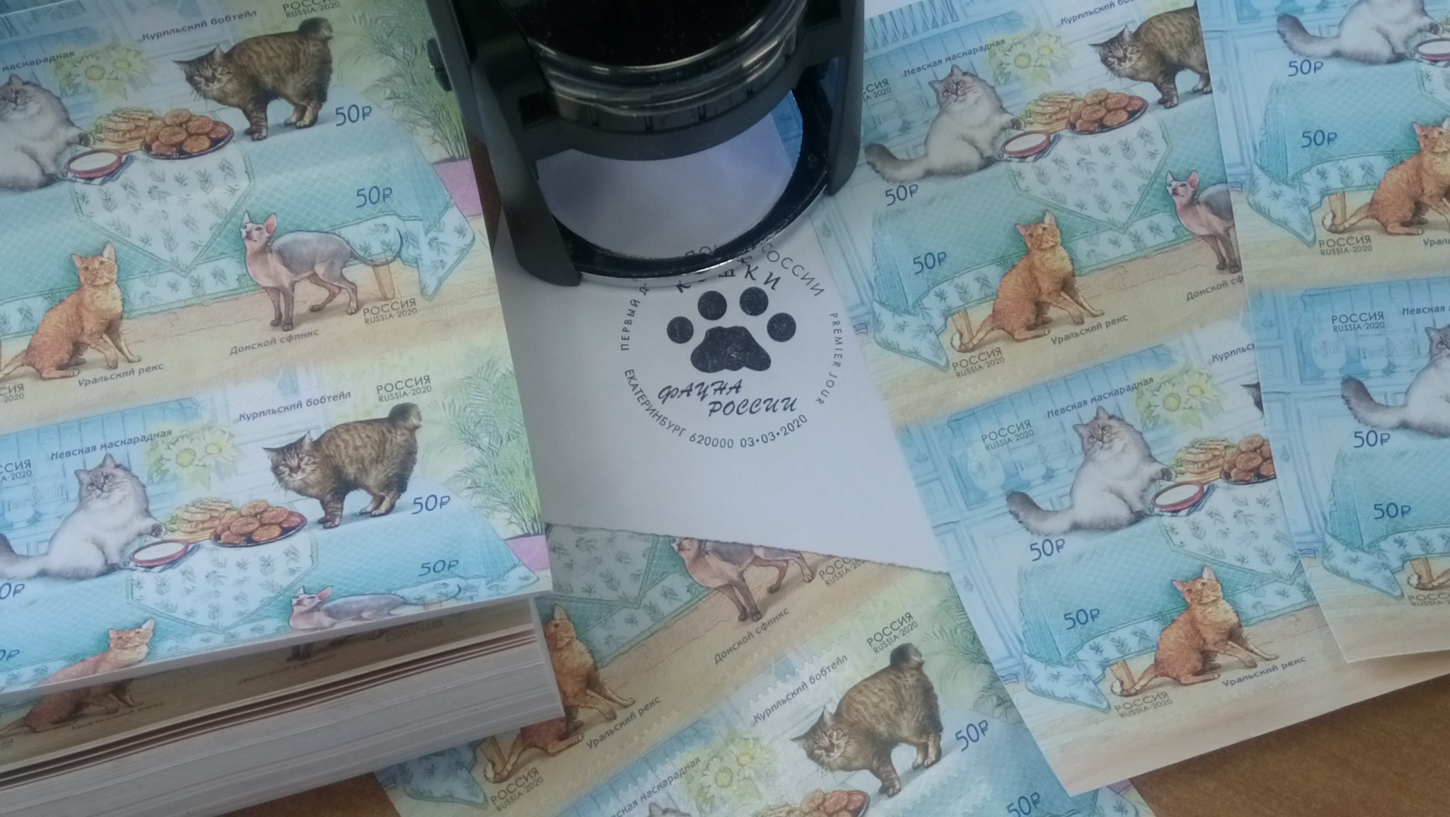 На Главпочтамт привезли 20 тысяч марок с экзотическими котами и зовут поставить на них кошачью лапку