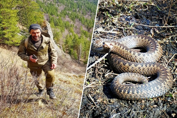 Поход по хребту закончился только начавшись Поход по хребту закончился только начавшись
