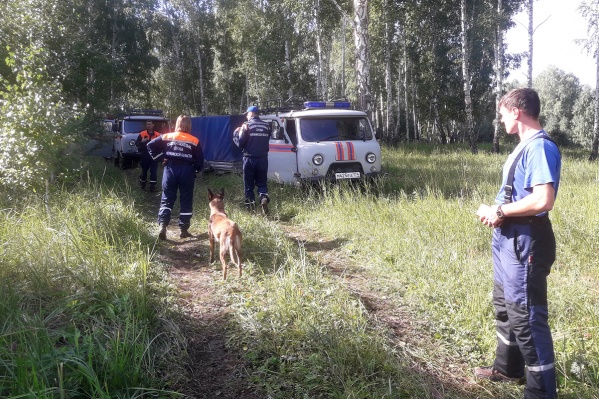 К поискам пенсионера привлекли спасателей, кинологов, пожарных и волонтёров К поискам пенсионера привлекли спасателей, кинологов, пожарных и волонтёров