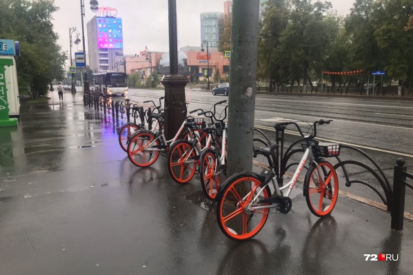 Такие велосипеды тюменцы встретят сегодня по дороге на работу Такие велосипеды тюменцы встретят сегодня по дороге на работу
