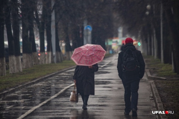 Завтра при возможности сидите дома, предупредили спасатели Завтра при возможности сидите дома, предупредили спасатели