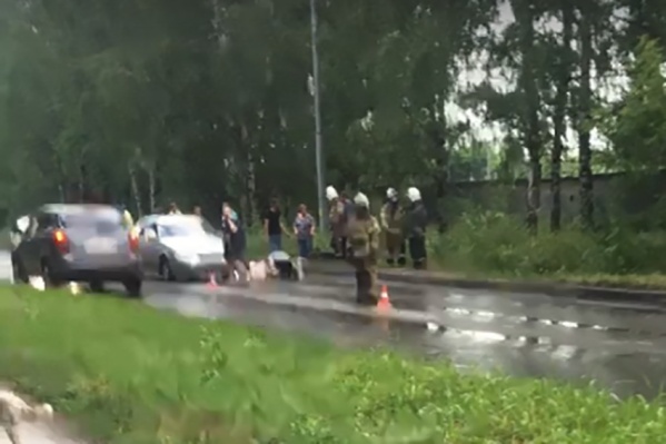 Полиция проводит проверку по факту ДТП Полиция проводит проверку по факту ДТП
