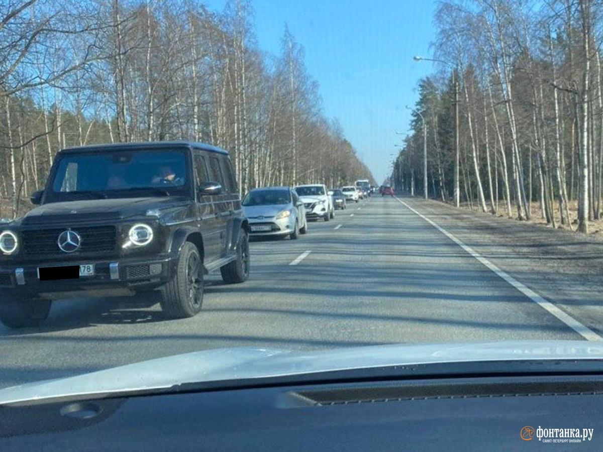 Побережье Финского залива в районе Репино-Комарово-Зеленогорска