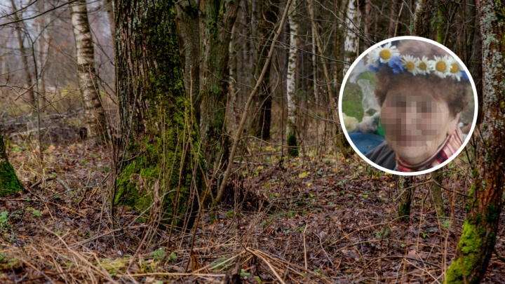 В Ярославской области в лесу нашли тело женщины без головы