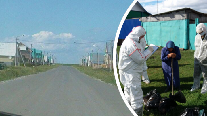 Власти обещают помочь тюменским фермерам, чьих кур и гусей убили из-за птичьего гриппа