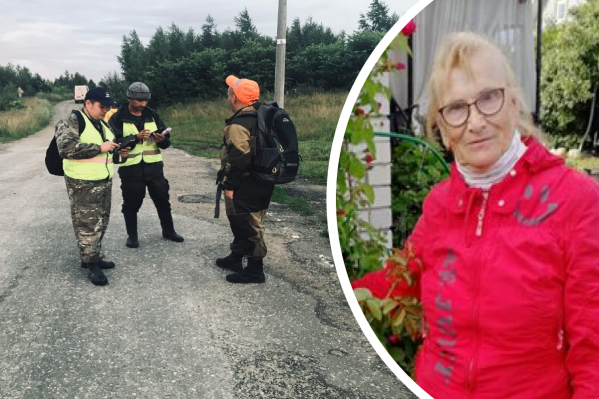 Добровольцы осмотрели дорогу и деревню, где по камерам видели пенсионерку Добровольцы осмотрели дорогу и деревню, где по камерам видели пенсионерку