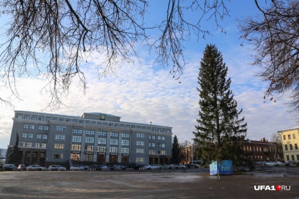 В прошлом году елку ставили живую В прошлом году елку ставили живую