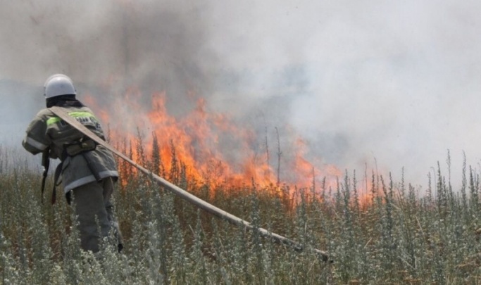 В Красноярском крае ввели режим ЧС из-за угрозы лесных пожаров
