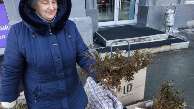Уличные торговцы начали продавать багульник в Новосибирске