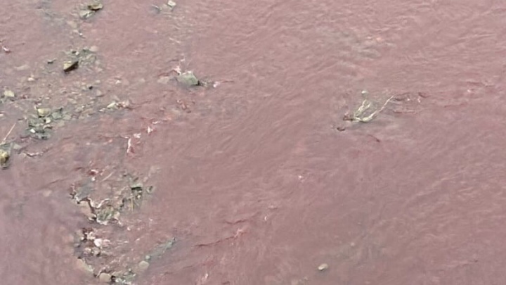 Вода в кемеровской Искитимке стала багровой. Показываем фото реки