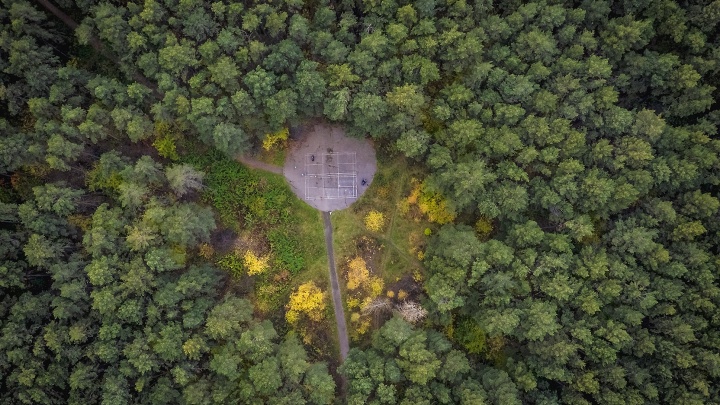 Новосибирец снял с высоты старейший лес в районе Пединститута — 7 красивых осенних кадров
