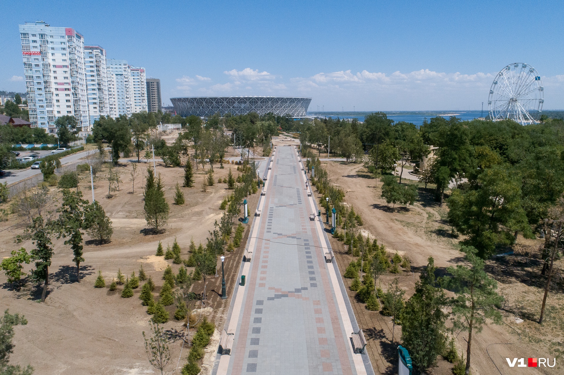 Первым делом в парке вырубили большинство многолетних деревьев и кустов Первым делом в парке вырубили большинство многолетних деревьев и кустов