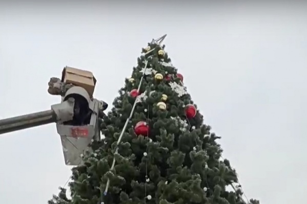 В парке завершают процесс украшения елки В парке завершают процесс украшения елки