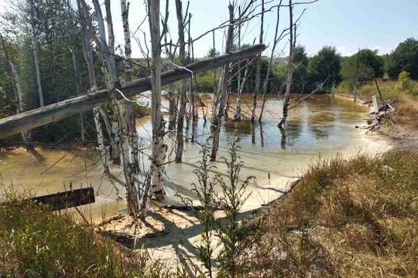 Из-за химикатов временно изменился состав воды Из-за химикатов временно изменился состав воды 
