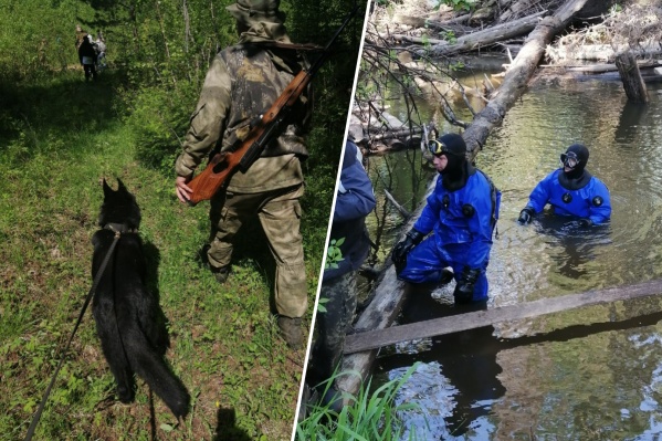 Мальчика искали собаки и водолазы Мальчика искали собаки и водолазы