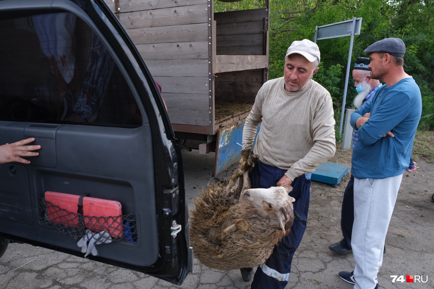 Увозили их на машинах... Увозили их на машинах...