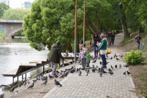 Ранее мы разобрались с эпидемиологом, <a href="https://www.e1.ru/news/spool/news_id-69289879.html" target="_blank" class="_">какова вероятность того, что ограничения сегодня начнут снимать</a> Ранее мы разобрались с эпидемиологом, <a href="https://www.e1.ru/news/spool/news_id-69289879.html" target="_blank" class="_">какова вероятность того, что ограничения сегодня начнут снимать</a>