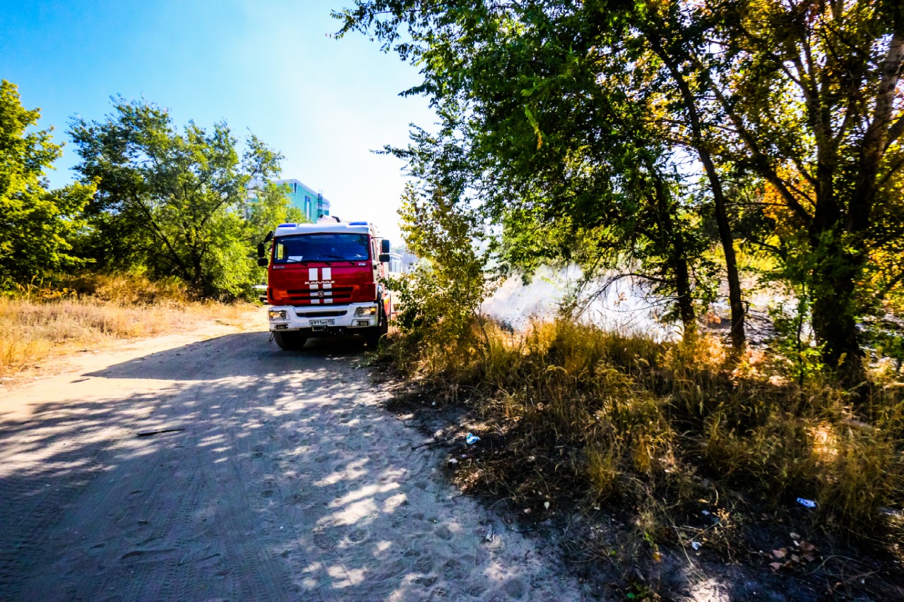 «Пожарные летели, не останавливаясь на светофорах»: в Волгограде вновь горела пойма Царицы