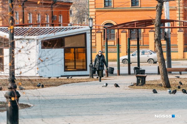 Теперь омичам предстоит провести дома ещё неделю Теперь омичам предстоит провести дома ещё неделю