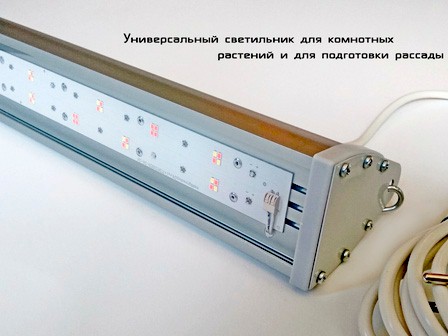 Фитосветильник компании «Альтаир» подходит для любой рассады Фитосветильник компании «Альтаир» подходит для любой рассады