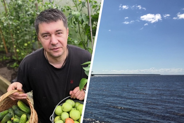 Дача депутата, из-за которой начались разбирательства, расположена в посёлке Свингино Дача депутата, из-за которой начались разбирательства, расположена в посёлке Свингино
