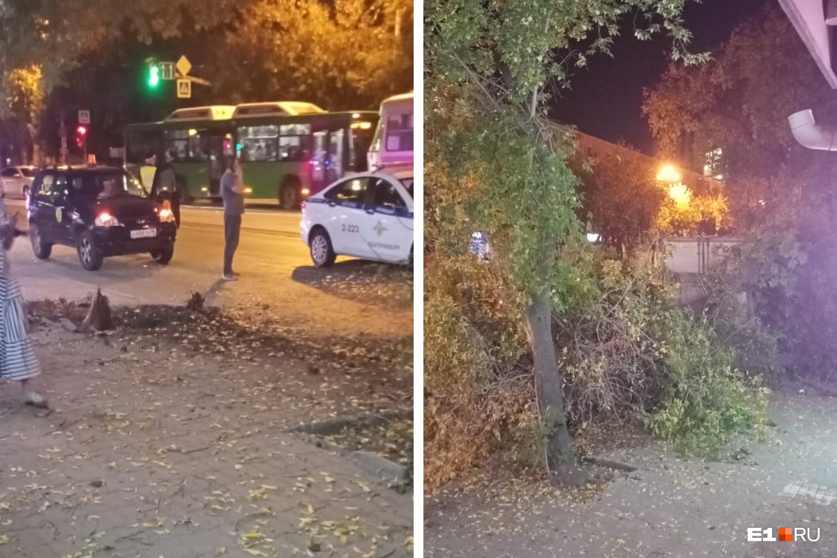8 Марта перекрыта: в Екатеринбурге грузовик снес несколько деревьев и вылетел на тротуар