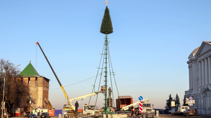 На площади Минина начали установку главной новогодней елки Нижнего Новгорода