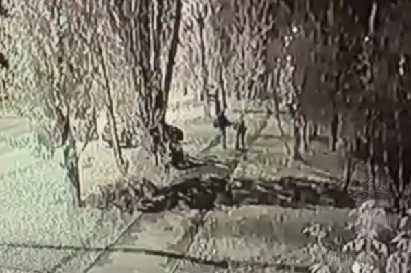 Нападение засняла камера видеонаблюдения Нападение засняла камера видеонаблюдения 