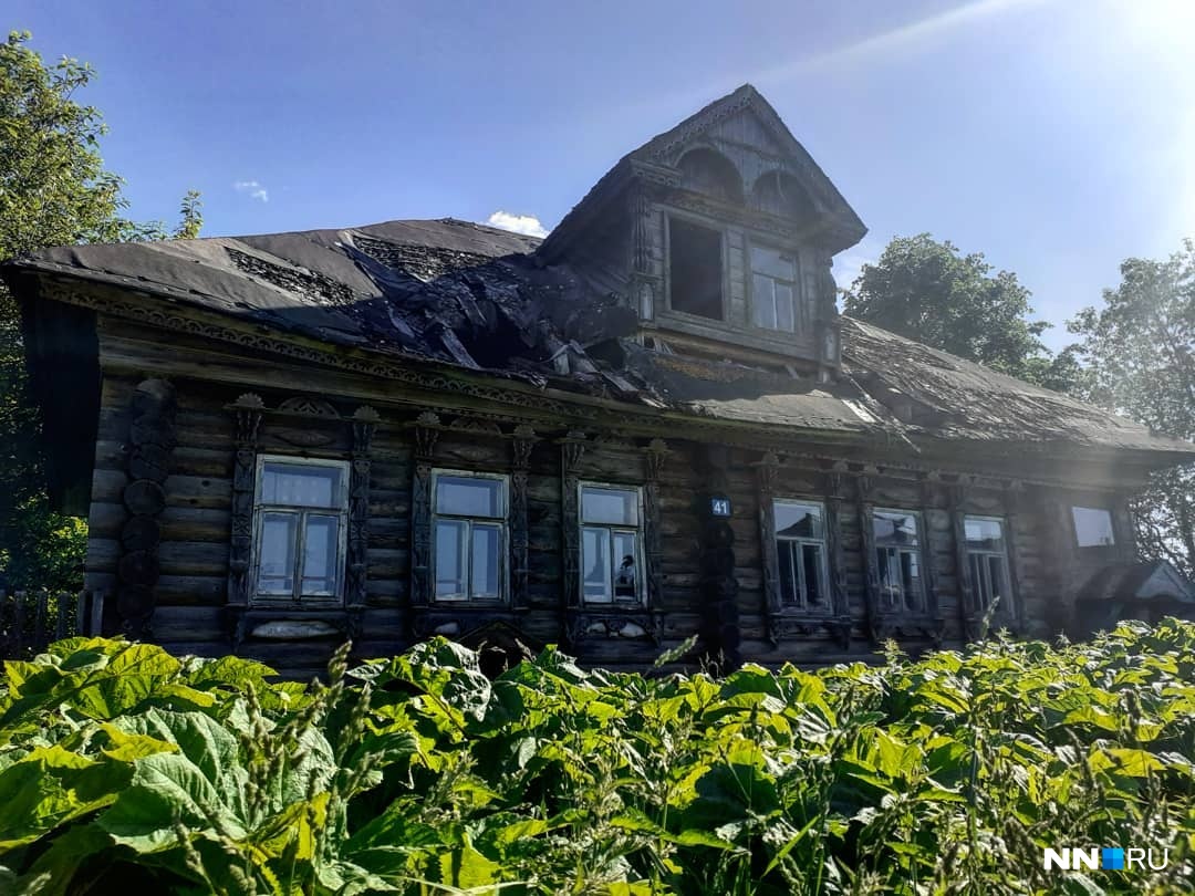 Заросли борщевика охранят старый дом от мародеров лучше всяких заборов Заросли борщевика охранят старый дом от мародеров лучше всяких заборов
