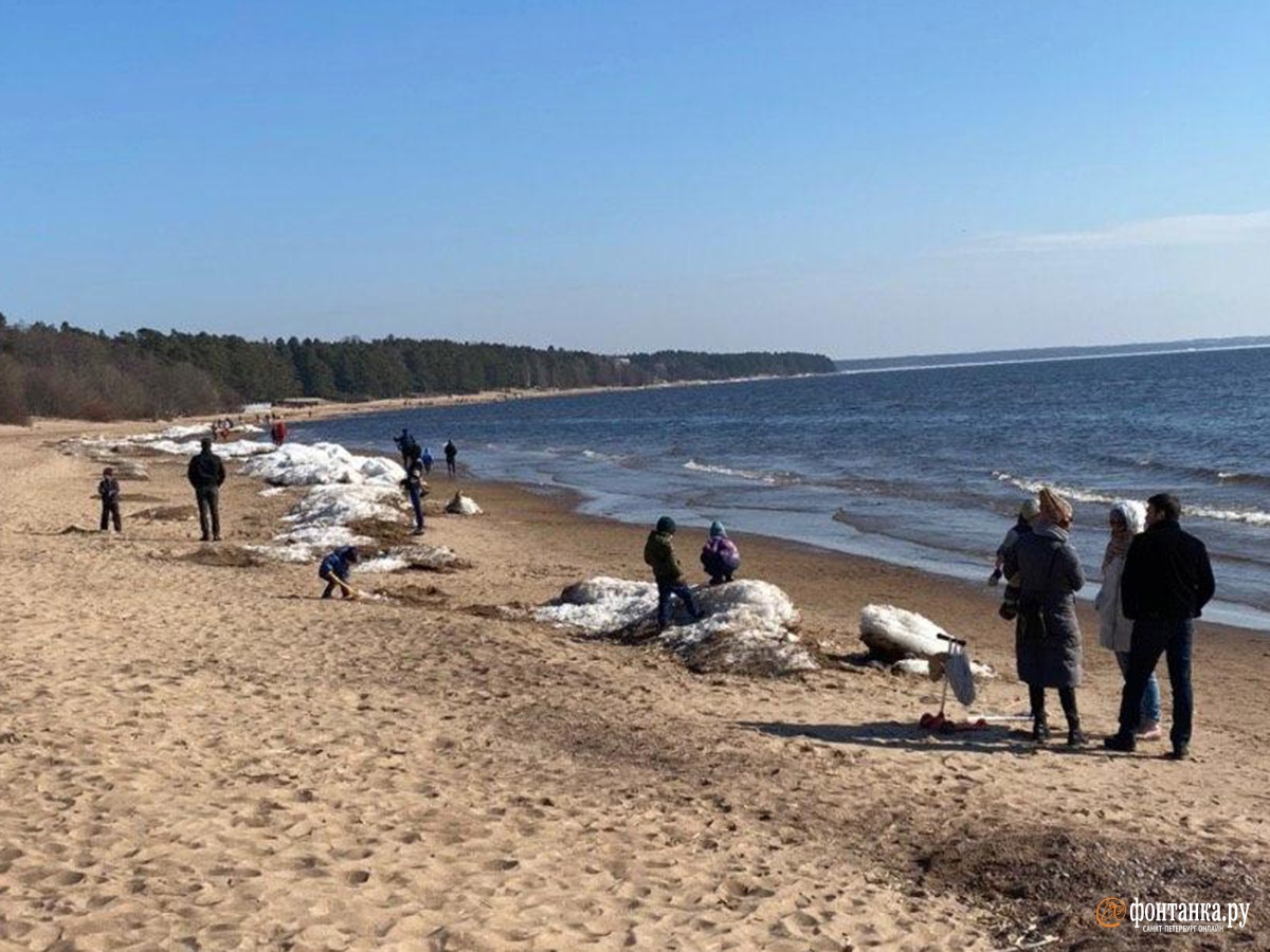 Пикник на берегу финского залива