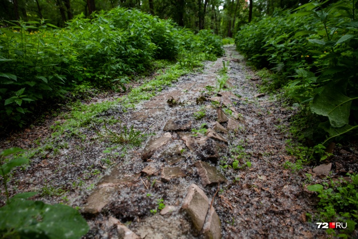 Когда-то на Текутьевском кладбище были проложены настоящие дорожки, но и они разрушаются