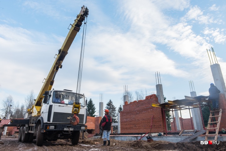 Коронавирус подтвердили у троих строителей зоопарка Коронавирус подтвердили у троих строителей зоопарка