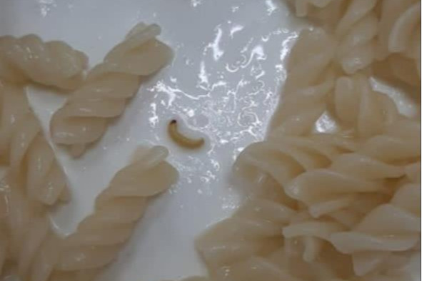 В Башкирии школьников кормили макаронами с червями