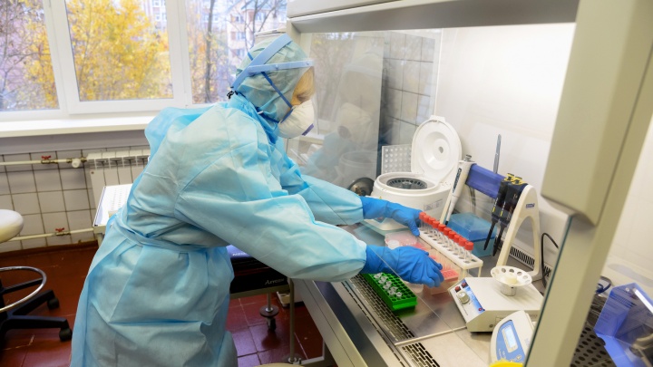 В Минздраве Поморья ответили, будут ли северян тестировать на антитела перед вакцинацией от COVID-19