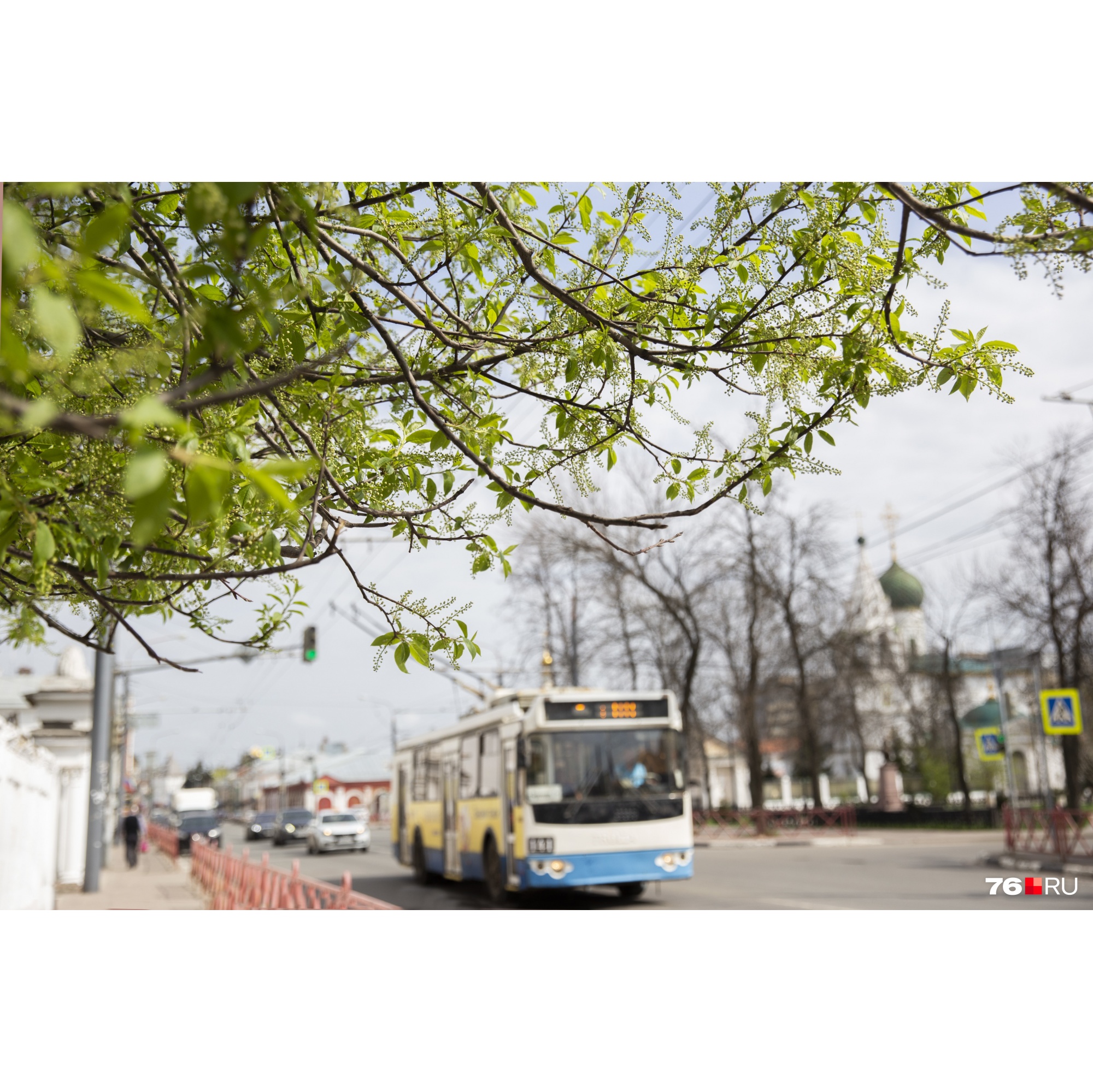 Наконец-то всё зазеленеет Наконец-то всё зазеленеет