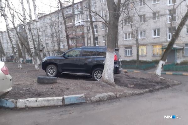 Это фото сделано на улице Перекопской. Но такая картина сейчас буквально в каждом дворе Это фото сделано на улице Перекопской. Но такая картина сейчас буквально в каждом дворе