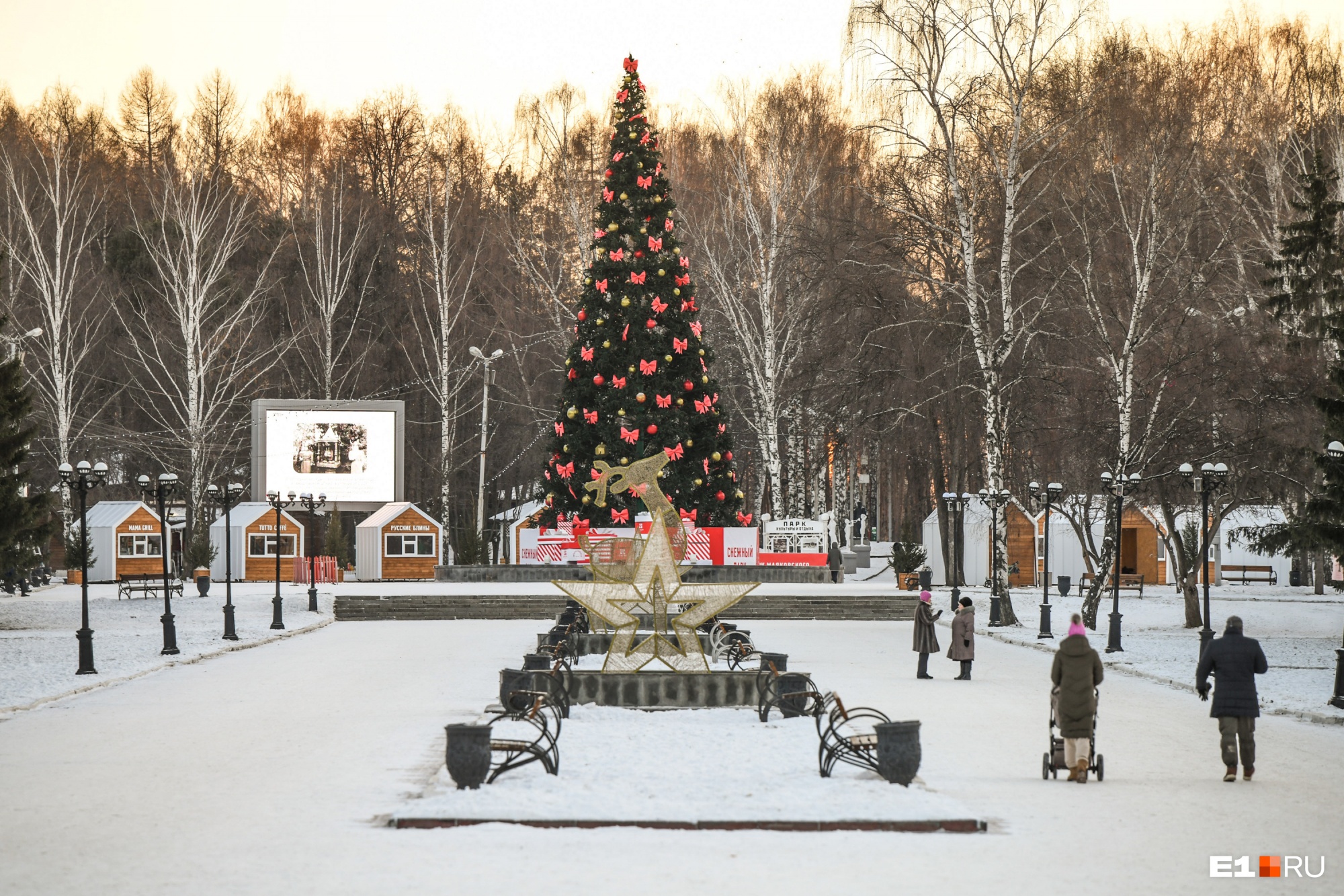 Парк Маяковского ЕКБ зима