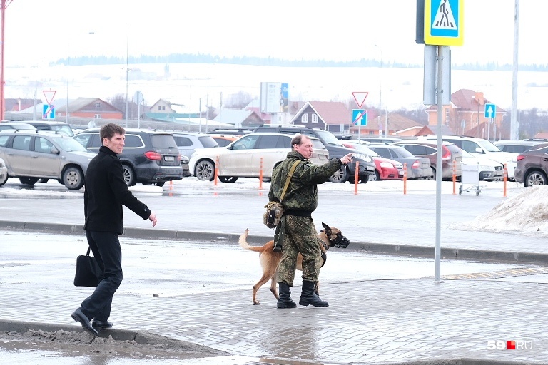 «Самолет проверяют кинологи»: в пермском аэропорту рассказали об экстренной посадке лайнера S7