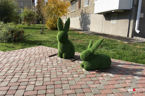 Пропавший заяц на место пока не вернулся Пропавший заяц на место пока не вернулся